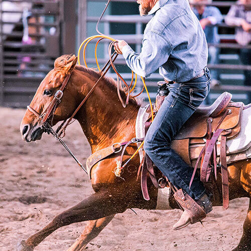 Calgary Stampede Finals Rally — 500x500