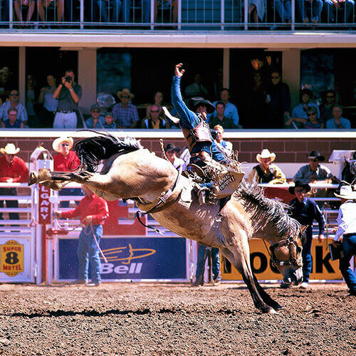 Calgary Stampede Finals Rally