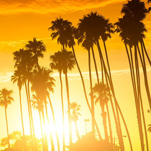 Palm Springs Bash for Lifetime Members — 500x500
