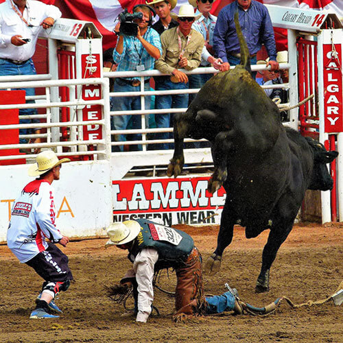 Calgary Stampede Rally — 500x500