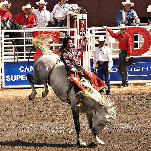 Calgary Stampede Rally