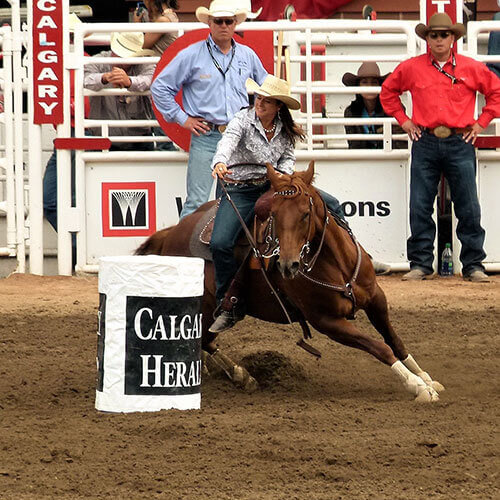 Calgary Stampede Rally — 500x500