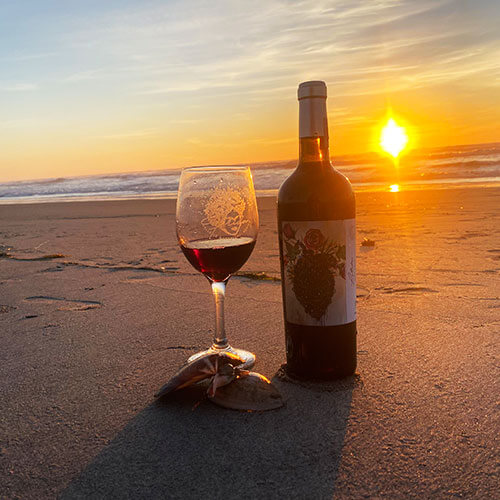 Taste of Baja — 500x500