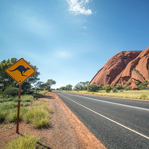 Real Outback Add-on — 500x500