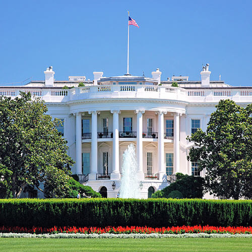 Washington DC Rally — 500x500