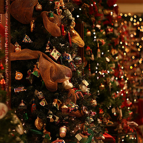Nashville & Smoky Mountain Holiday — 500x500