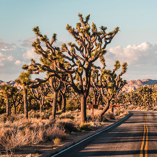 21 Day Wild West Adventure