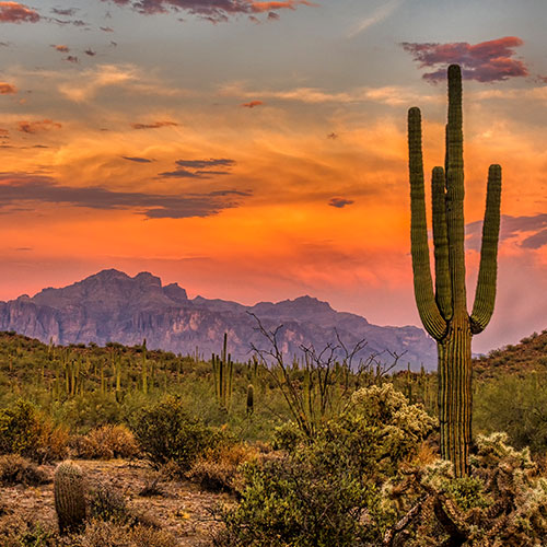 Wild West Adventure — 500x500
