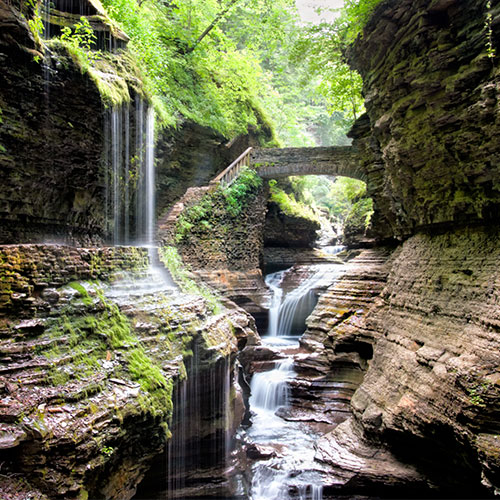Finger Lakes, Niagara Falls & Adirondacks — 500x500