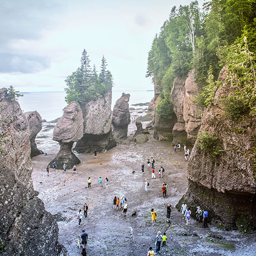 Canadian Maritime Your Way — 500x500