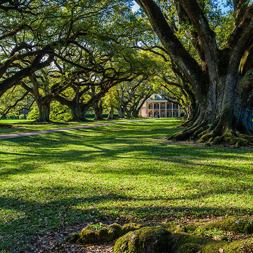 34 Day Mississippi River Road - North to South