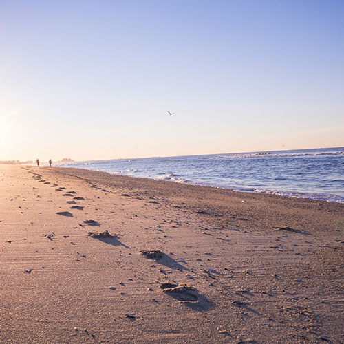 America's Gulf Coast - Bayous to Beaches