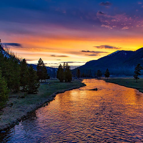 Ultimate Rockies — 500x500