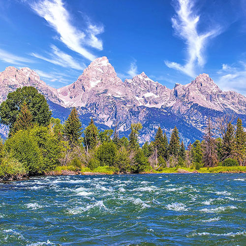 Ultimate Rockies — 500x500