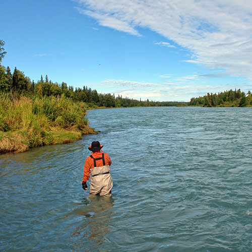 Alaska Your Way